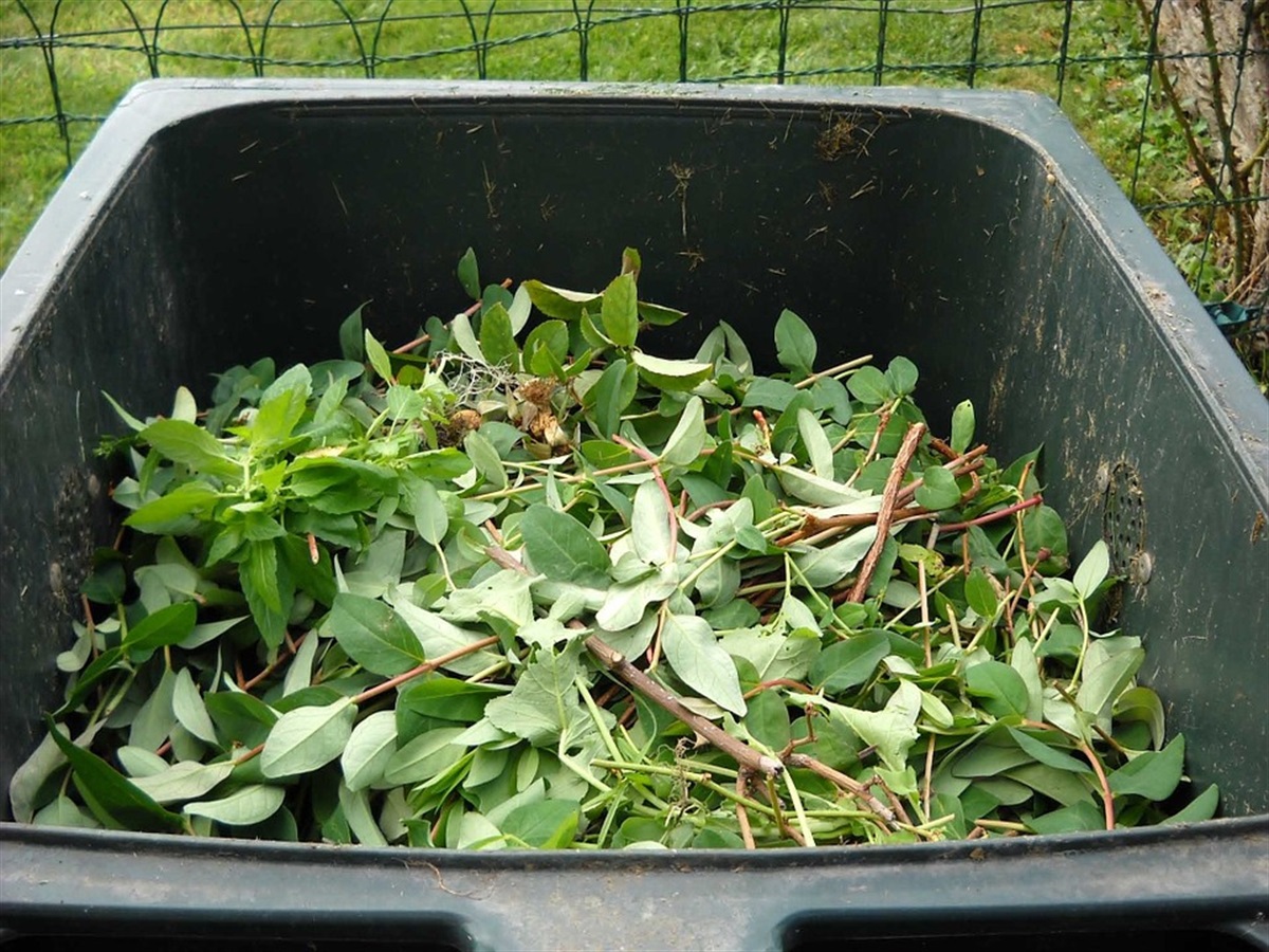 Free Green Waste Weekend | The National Tribune