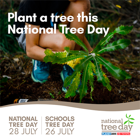 National Tree Day social media tile