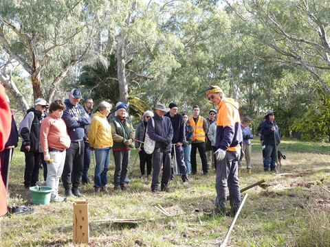 Tree Day Benalla.JPG